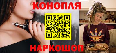 сатива Малгобек