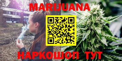 сатива Малгобек