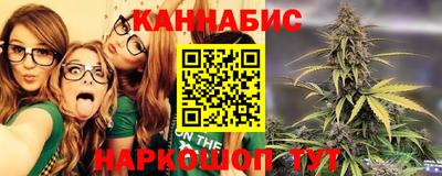 сатива Малгобек