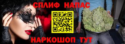сатива Малгобек