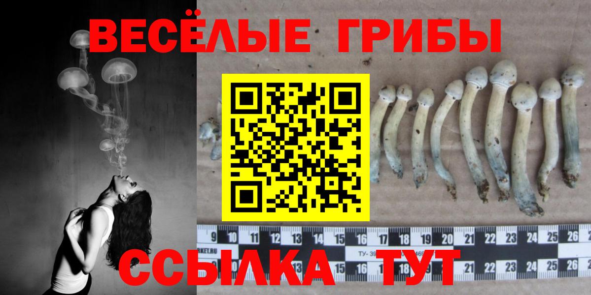 Азов  Галлюциногенные грибы Magic Shrooms  Вход с VPN  Галлюциногенные грибы Cubensis 