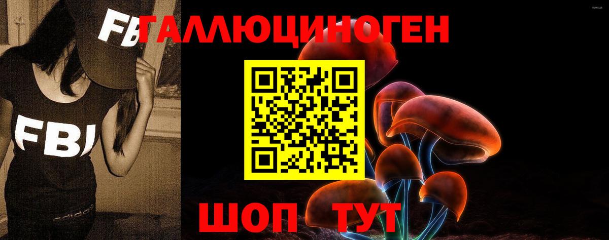 Псилоцибиновые грибы Psilocybine cubensis Азов